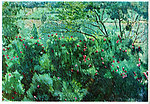 风景油画