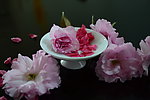 瓷器 花