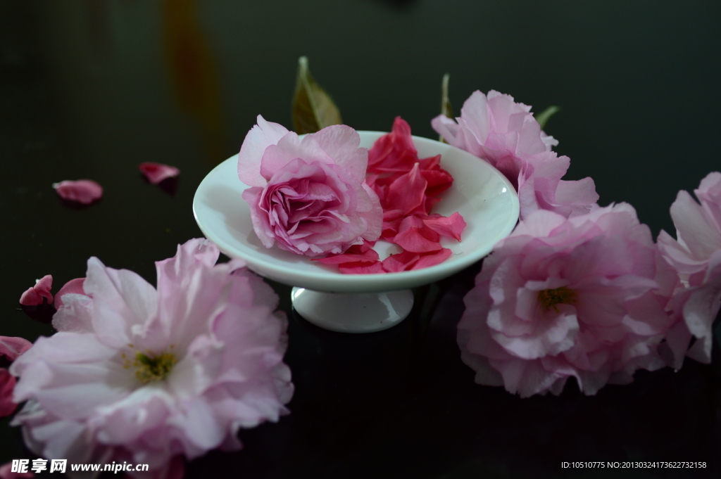 瓷器 花