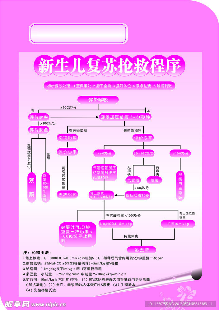 新生儿复苏抢救程序