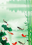荷花鲤鱼