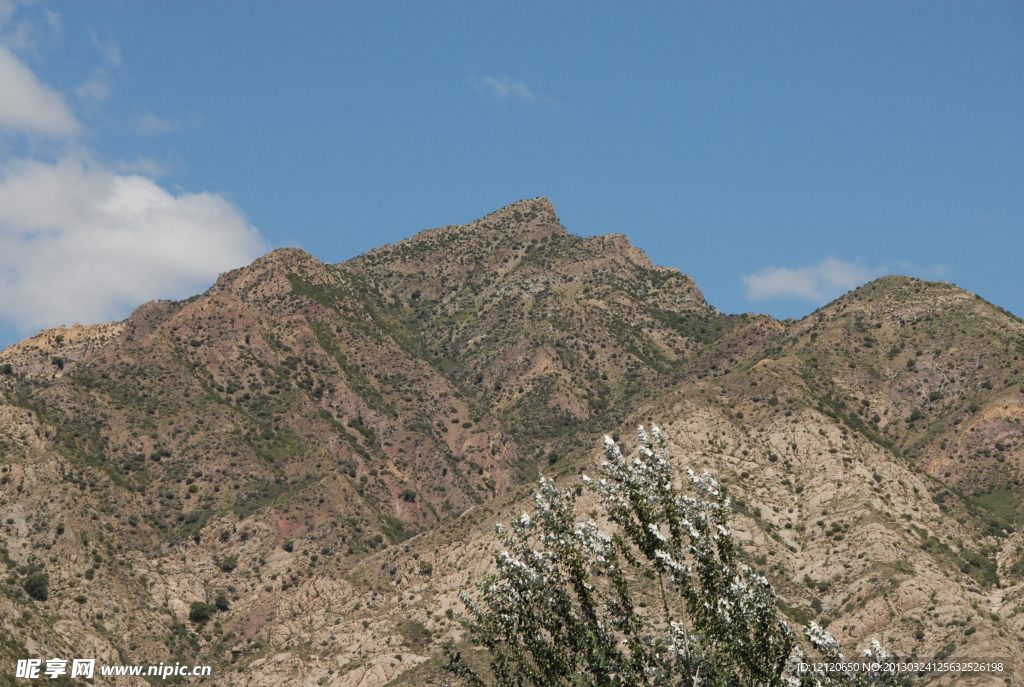 高山