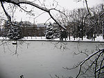 雪景