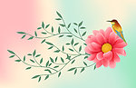 花鸟