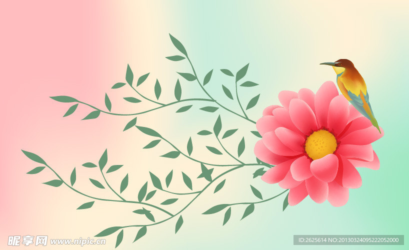 花鸟
