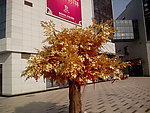 金树