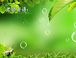 老师寄语 绿叶