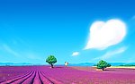天空 花海