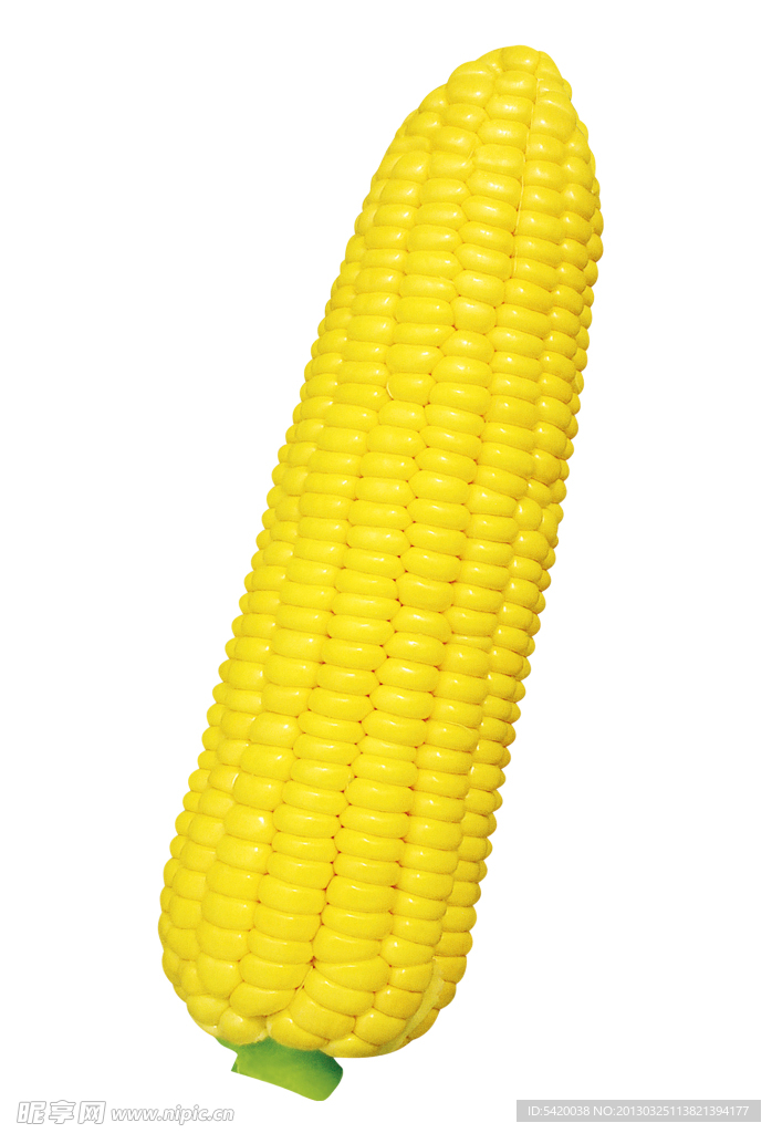 玉米