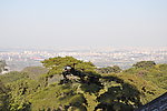 北京 戒台寺