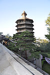 北京 戒台寺