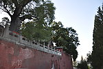 北京 戒台寺