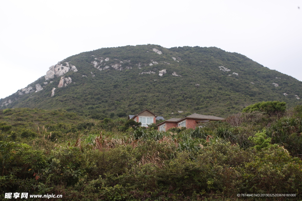 丛林度假村