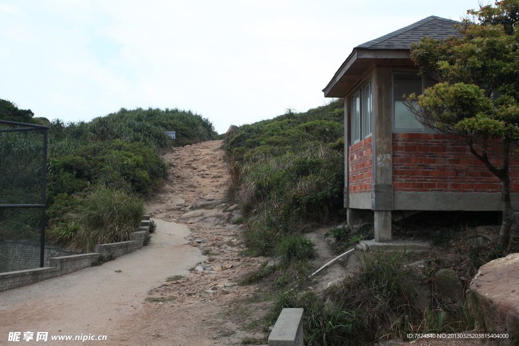 丛林中的小屋