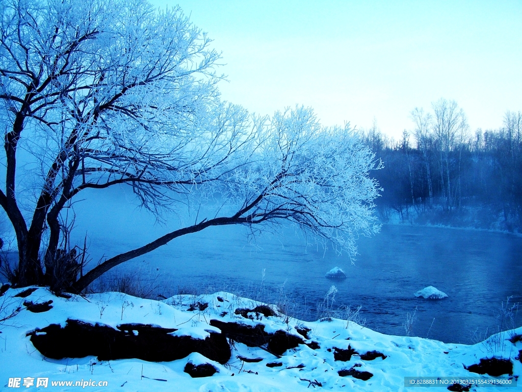 雪景