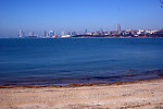 青岛海边风景