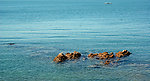 青岛海边风景
