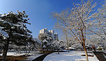 雪景
