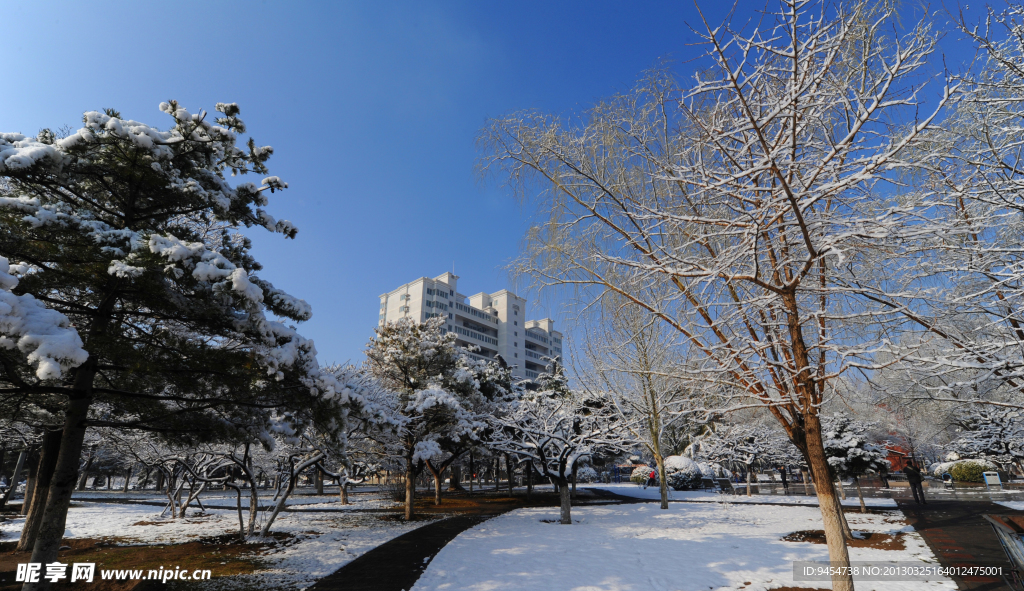 雪景