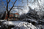 雪景
