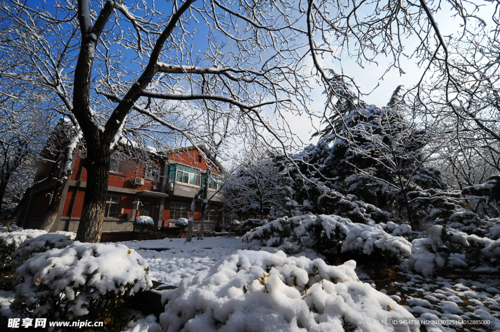 雪景