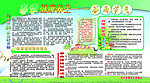 春季养生