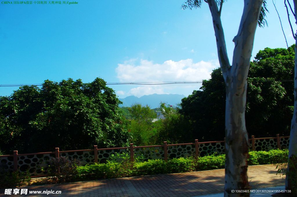龙岗南澳一路风景风光