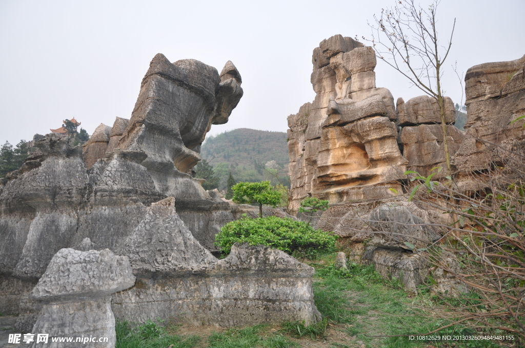 黑山谷石林