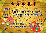 乒乓球技术展板