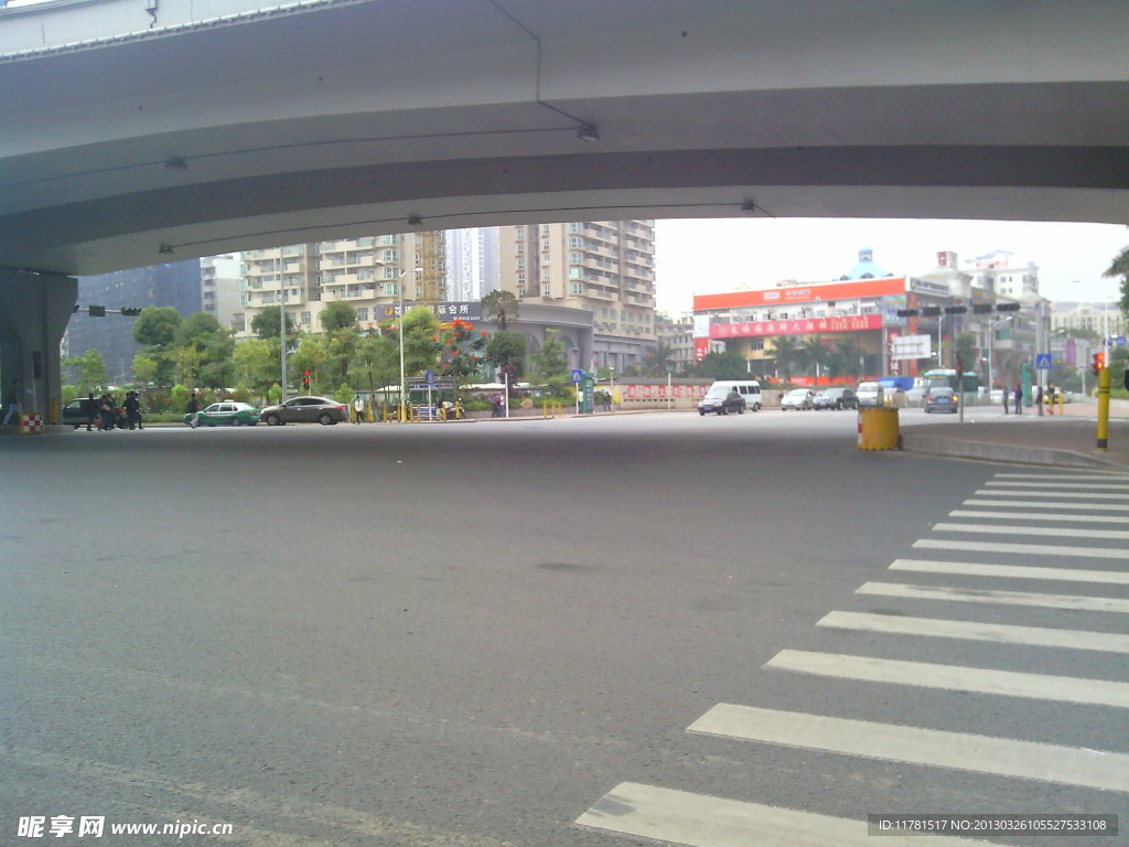 城市 街道 公路 马