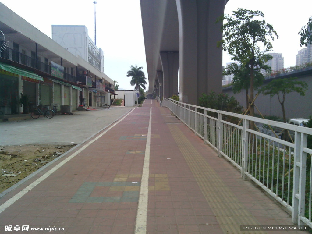 城市 街道 公路 马