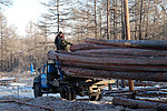 林区采伐运输记实