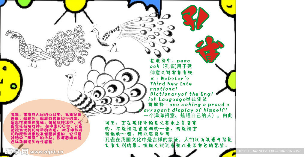 孔雀小报