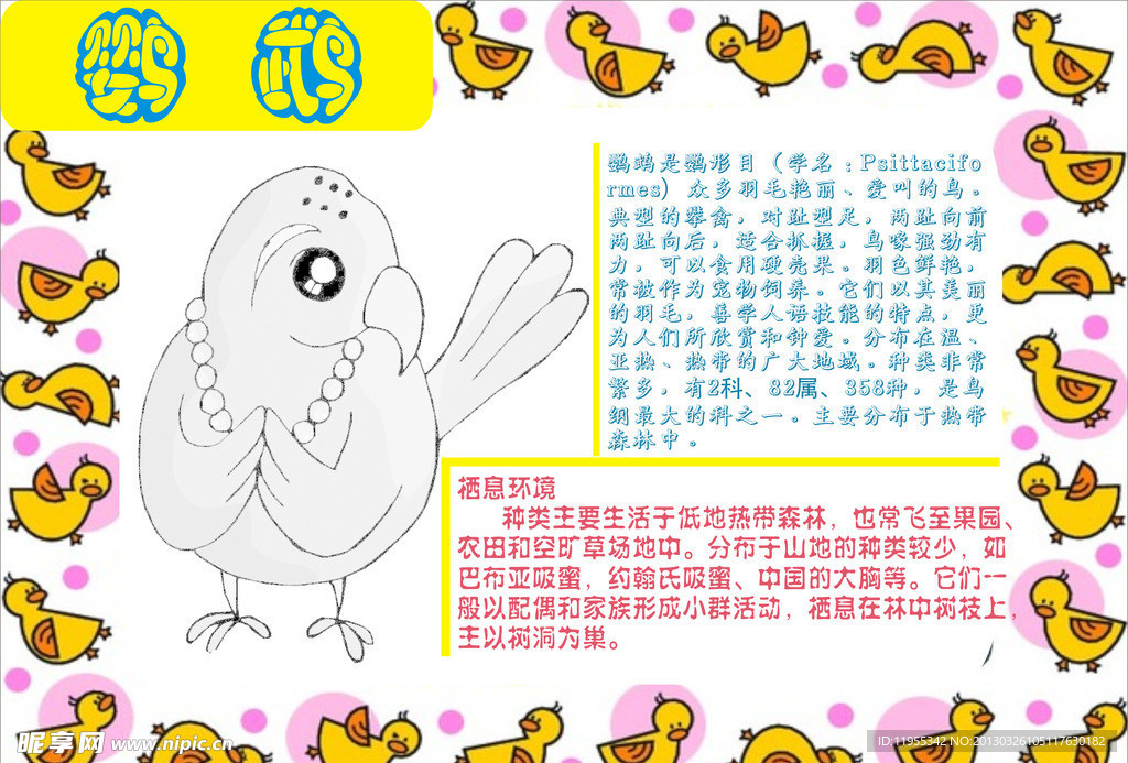 鹦鹉小报
