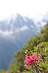 雪山