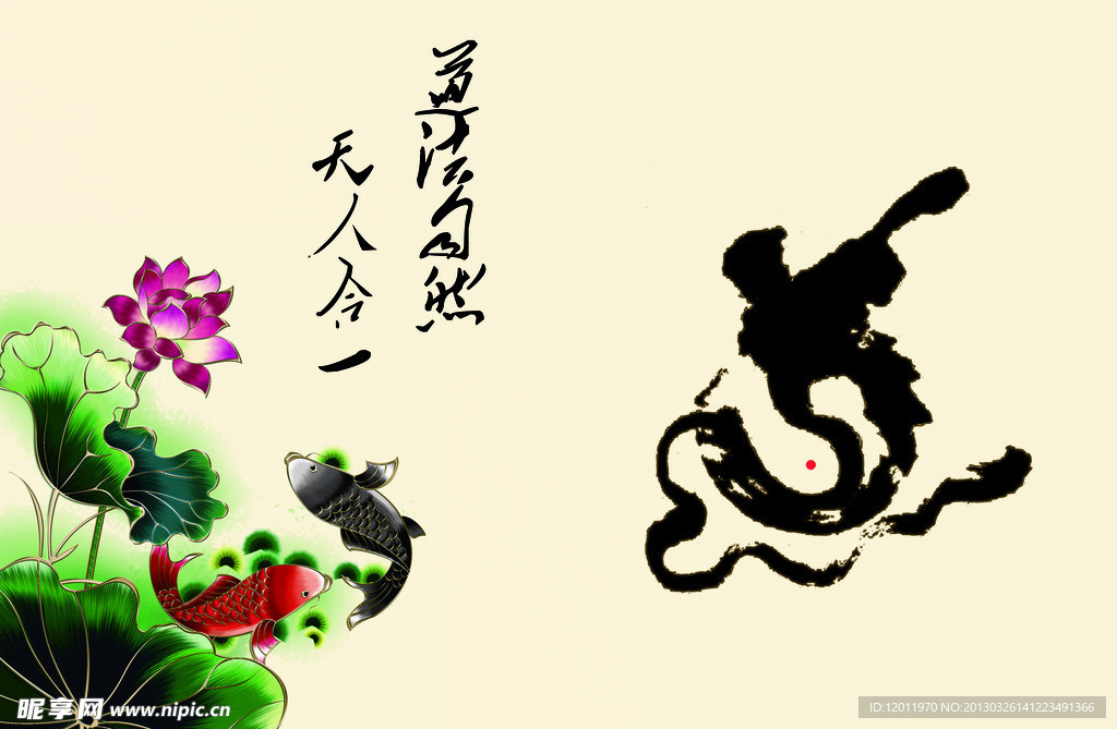 荷花