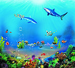 海洋