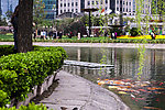 陆家嘴池塘