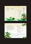 桂花宣传册