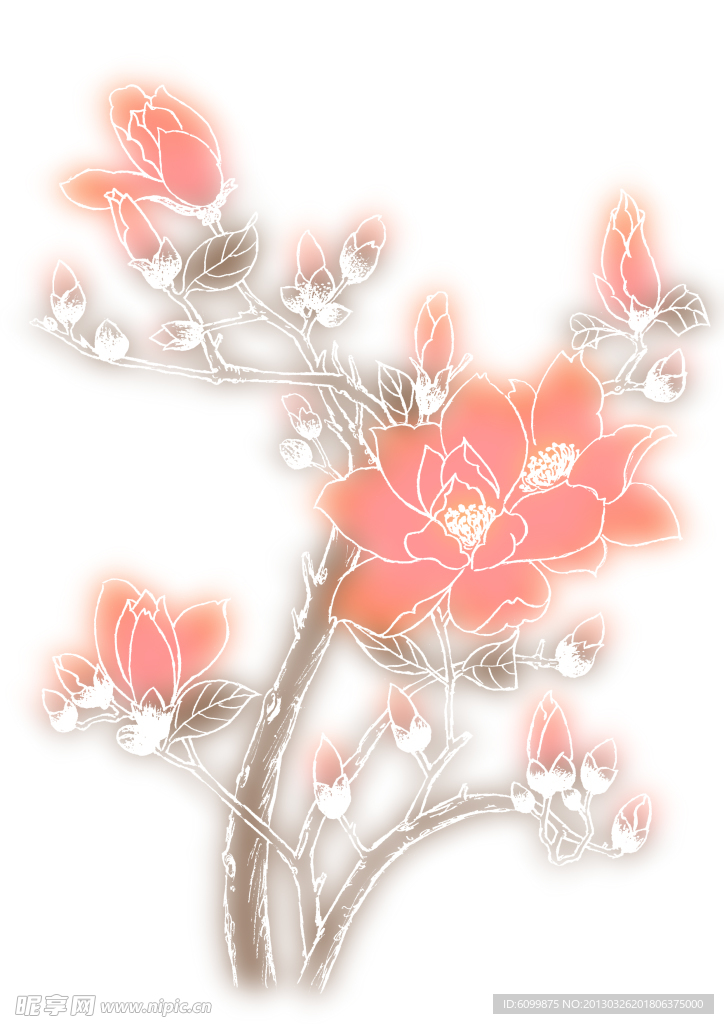 木兰