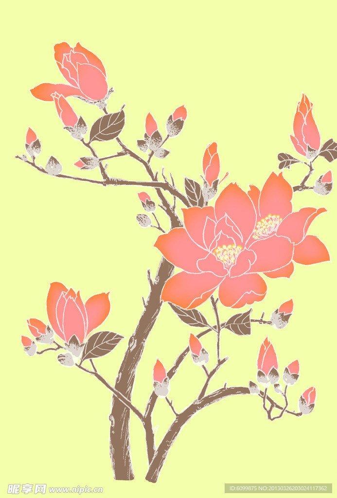 木兰
