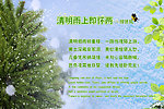 清明节