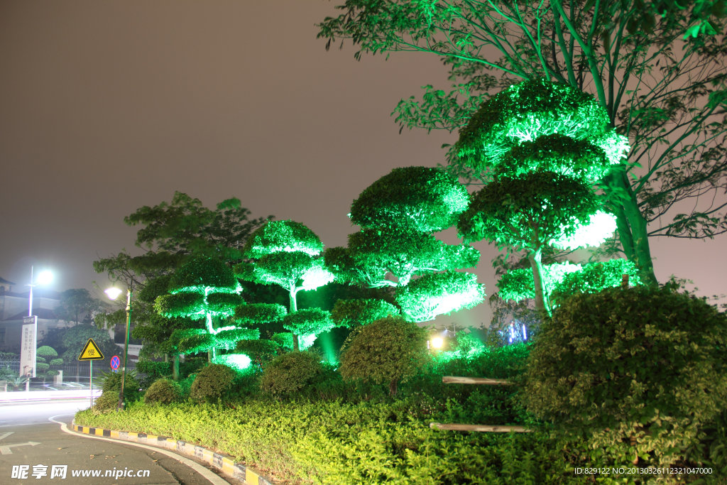 公园夜景
