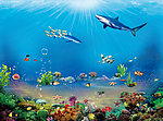 奇妙的海底世界