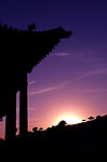 常家大院景观
