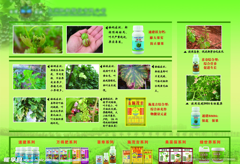 作物缺素海报设计