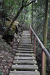 山路风景