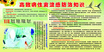 禽流感防治知识
