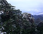黄山飞来石雪景
