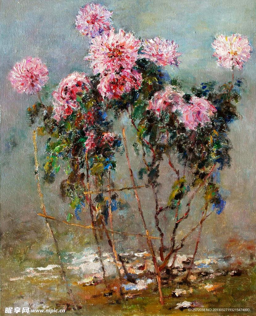 红菊花